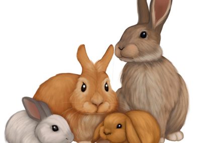 Bunny Family