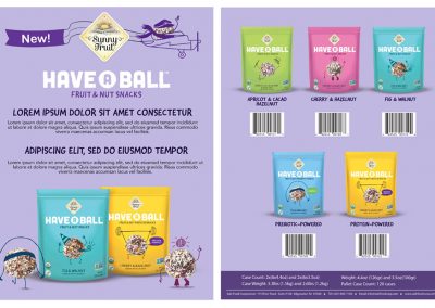 Have A Ball Sell Sheet