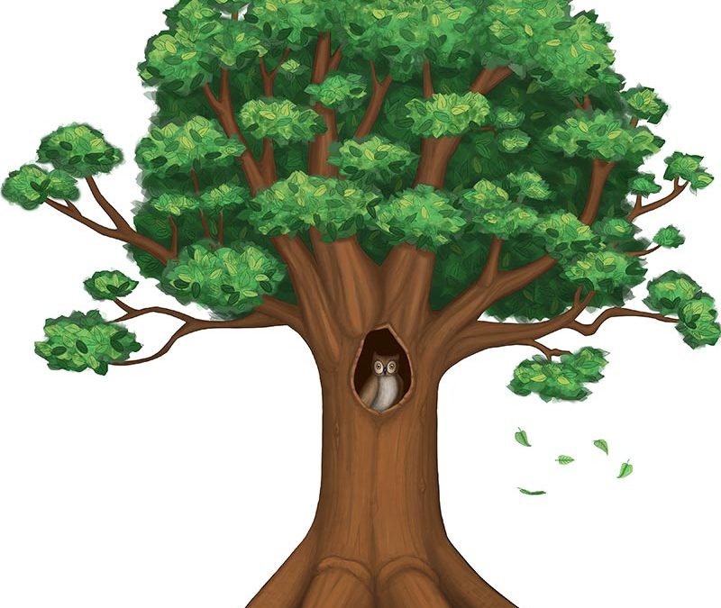 Owl Tree